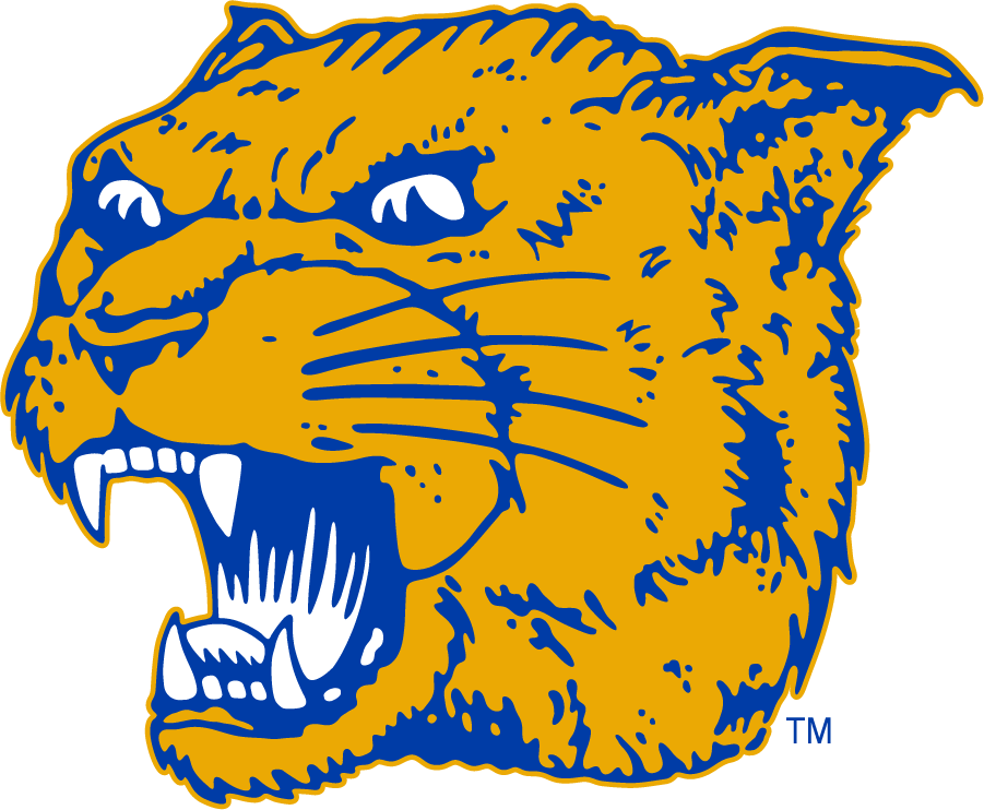 Pittsburgh Panthers 1977-1987 Alternate Logo diy iron on heat transfer